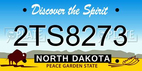 2TS8273 North Dakota License Plate
