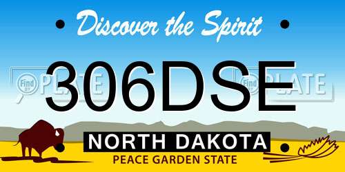 306DSE North Dakota License Plate