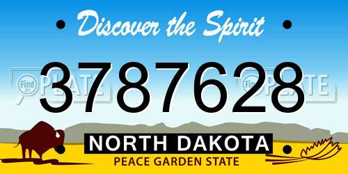 3787628 North Dakota License Plate