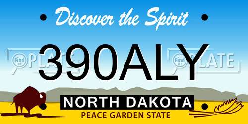 390ALY North Dakota License Plate