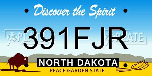 391FJR North Dakota License Plate