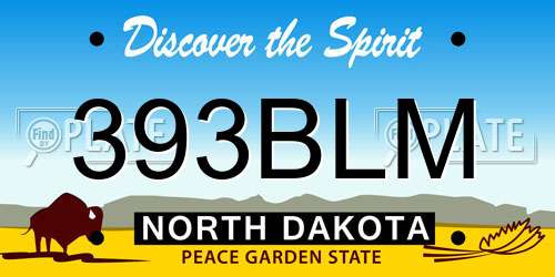 393BLM North Dakota License Plate