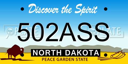 502ASS North Dakota License Plate