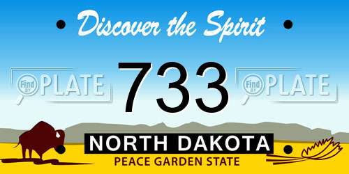 733 North Dakota License Plate