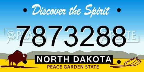 7873288 North Dakota License Plate