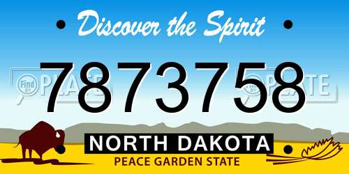 7873758 North Dakota License Plate