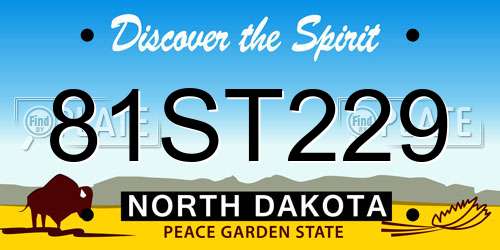 81ST229 North Dakota License Plate