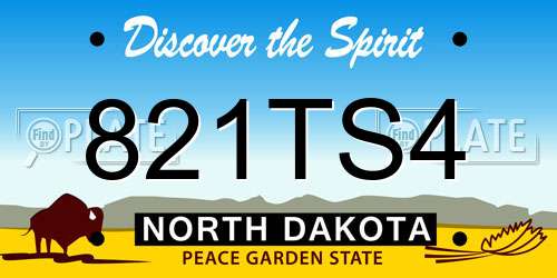 821TS4 North Dakota License Plate