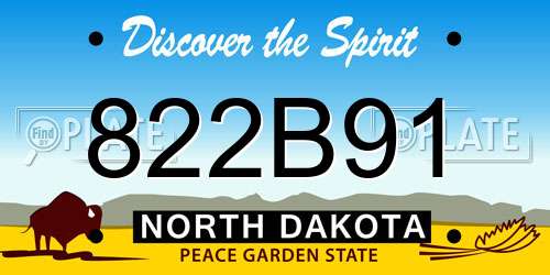 822B91 North Dakota License Plate