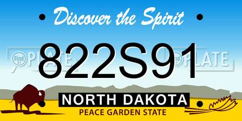 822S91 North Dakota License Plate