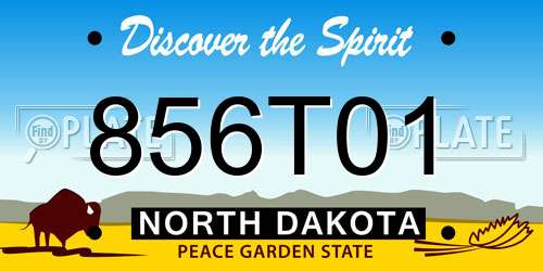 856T01 North Dakota License Plate