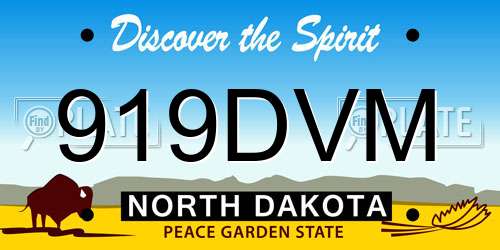919DVM North Dakota License Plate