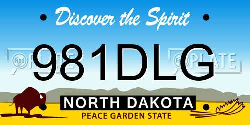 981DLG North Dakota License Plate