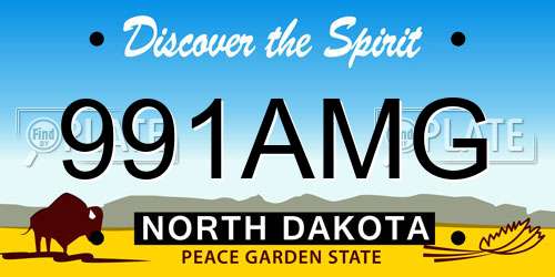 991AMG North Dakota License Plate
