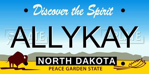 ALLYKAY North Dakota License Plate