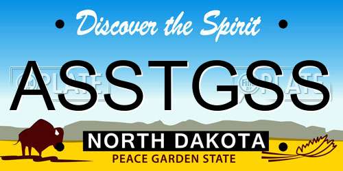 ASSTGSS North Dakota License Plate