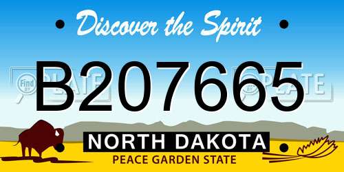 B207665 North Dakota License Plate