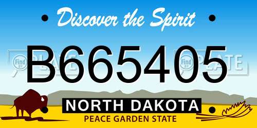 B665405 North Dakota License Plate