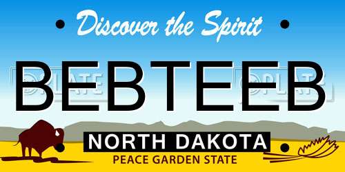 BEBTEEB North Dakota License Plate