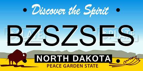 BZSZSES North Dakota License Plate