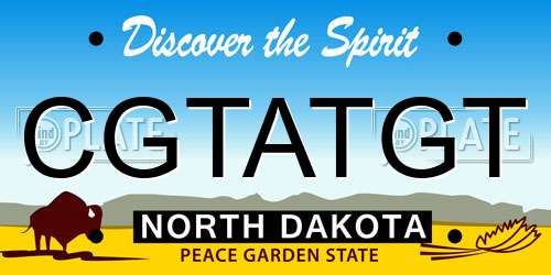 CGTATGT North Dakota License Plate