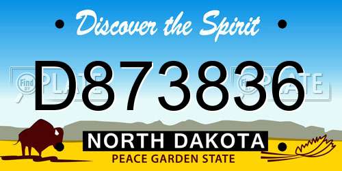 D873836 North Dakota License Plate