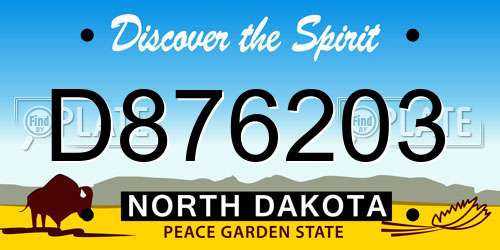 D876203 North Dakota License Plate