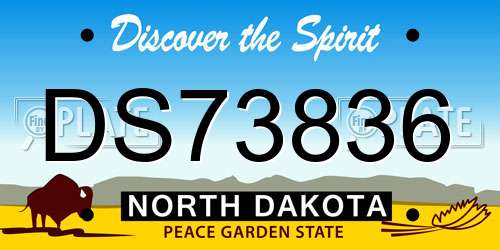 DS73836 North Dakota License Plate