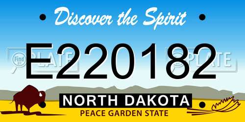 E220182 North Dakota License Plate