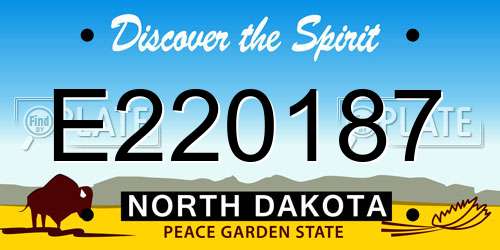 E220187 North Dakota License Plate