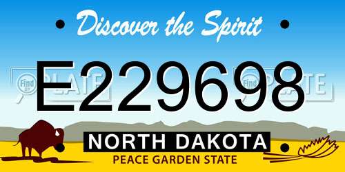 E229698 North Dakota License Plate