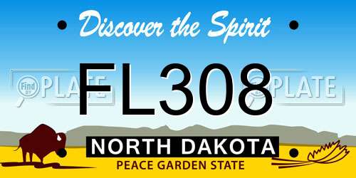 FL308 North Dakota License Plate
