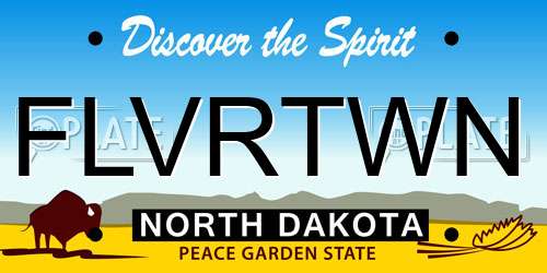 FLVRTWN North Dakota License Plate