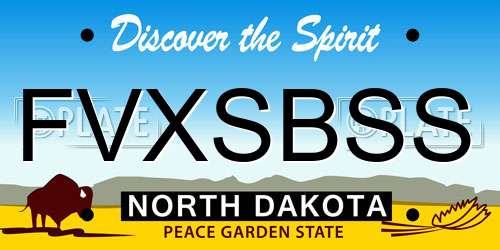 FVXSBSS North Dakota License Plate