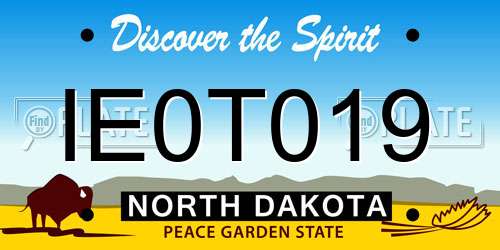 IE0T019 North Dakota License Plate