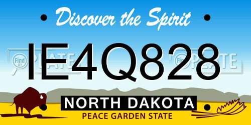 IE4Q828 North Dakota License Plate
