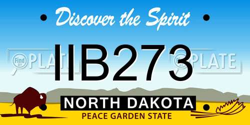 IIB273 North Dakota License Plate