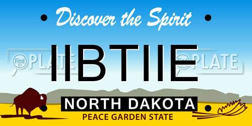 IIBTIIE North Dakota License Plate
