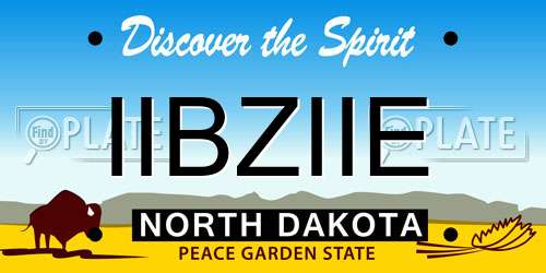 IIBZIIE North Dakota License Plate