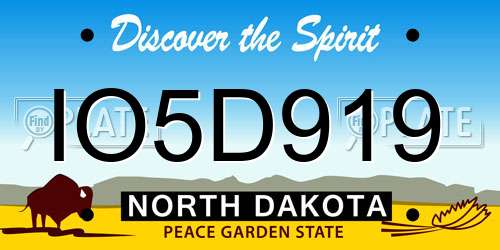 IO5D919 North Dakota License Plate