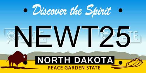 NEWT25 North Dakota License Plate