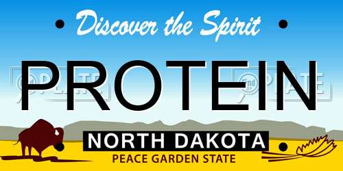 PROTEIN North Dakota License Plate