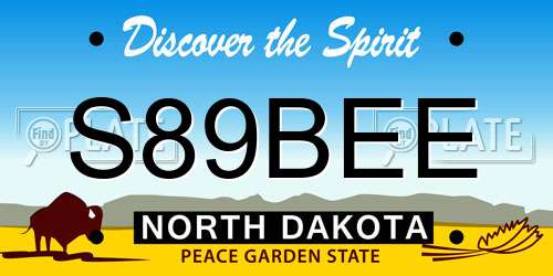 S89BEE North Dakota License Plate