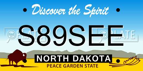 S89SEE North Dakota License Plate