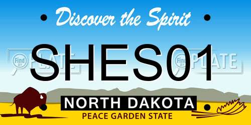 SHES01 North Dakota License Plate
