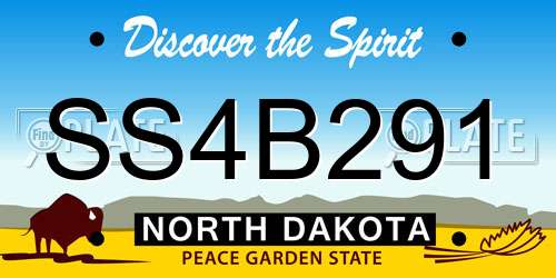SS4B291 North Dakota License Plate