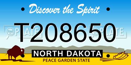 T208650 North Dakota License Plate