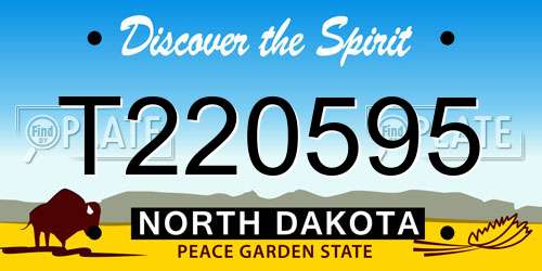 T220595 North Dakota License Plate