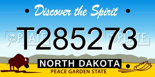 T285273 North Dakota License Plate