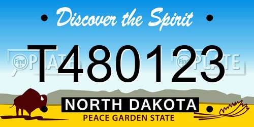 T480123 North Dakota License Plate